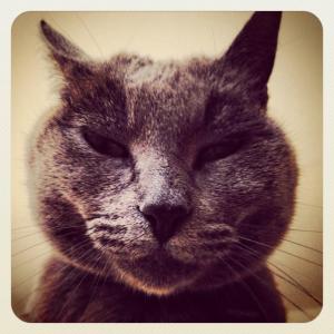 10334419_10152437340000396_2577932457155954550_n